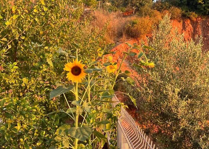 Апартаменты Sea View *