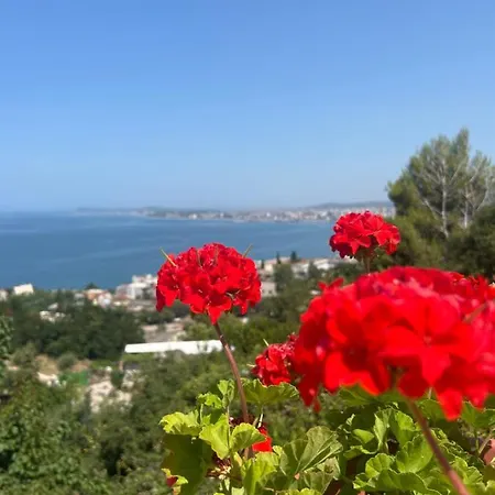 Sea View דירה