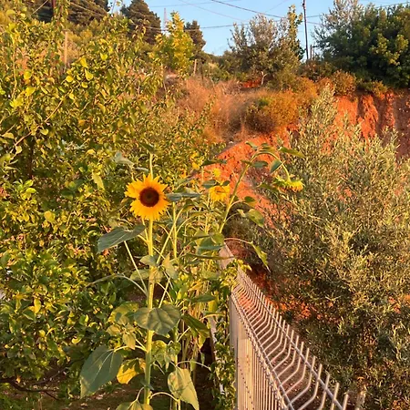 Apartment Sea View *